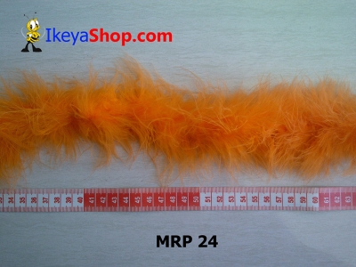 MRP 24  large2
